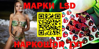 apvp Кизляр